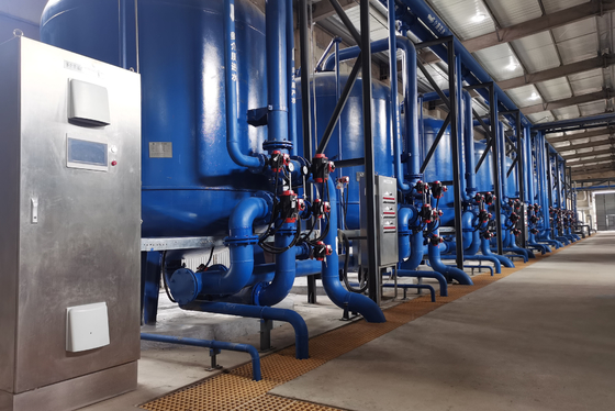 comprare Filtro per l'acqua di ferro manganese industriale Trattamento dell'acqua Progettazione di filtri a più strati fabbricazione online