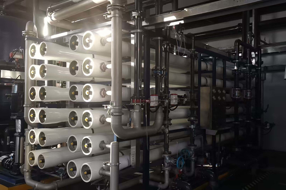 comprare Sistema di osmosi inversa a uno stadio Trattamento dell'acqua industriale per l'industria alimentare fabbricazione online
