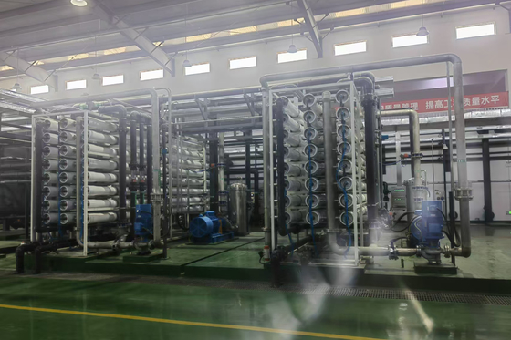 comprare Sistemi di osmosi inversa a doppio stadio industriali di controllo automatico fabbricazione online
