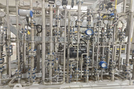 Sistema EDI di deionizzazione efficiente per la depurazione dell'acqua nell'industria farmaceutica